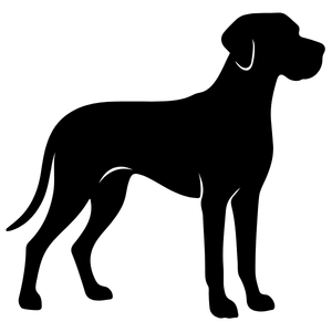 30 - 40 Kg