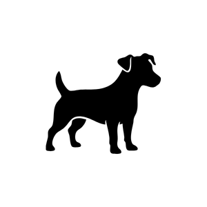 5 - 10 Kg