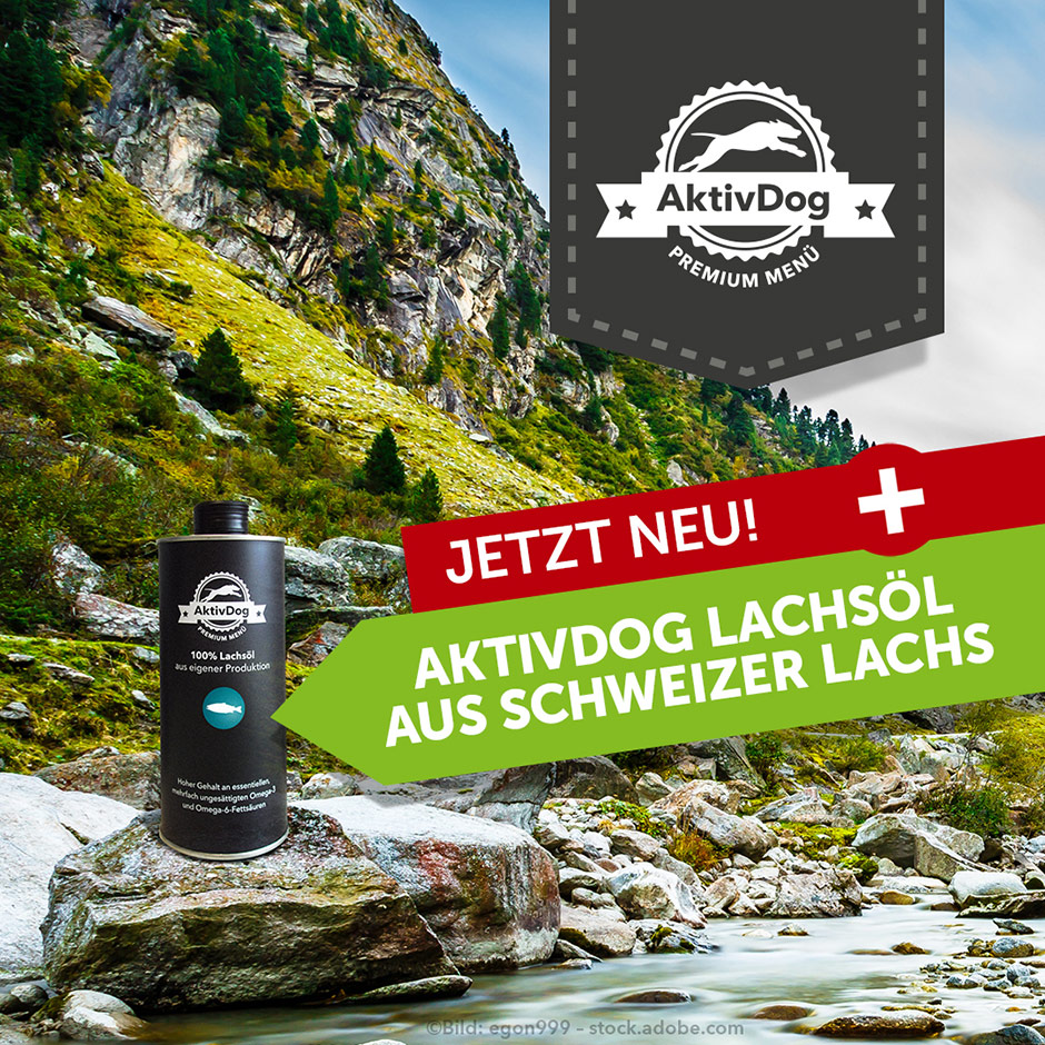 Jetzt NEU – AktivDog Lachsöl aus Schweizer Lachs als Ergänzungsfutter / Futter für Hunde