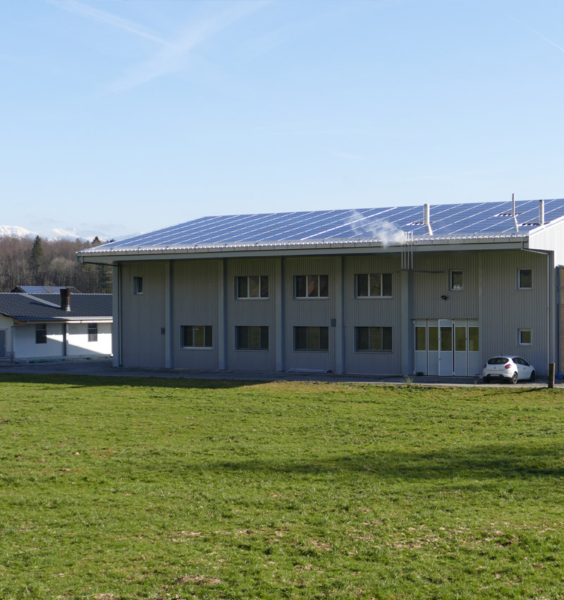 aktivdog-nachhaltig-photovoltaik