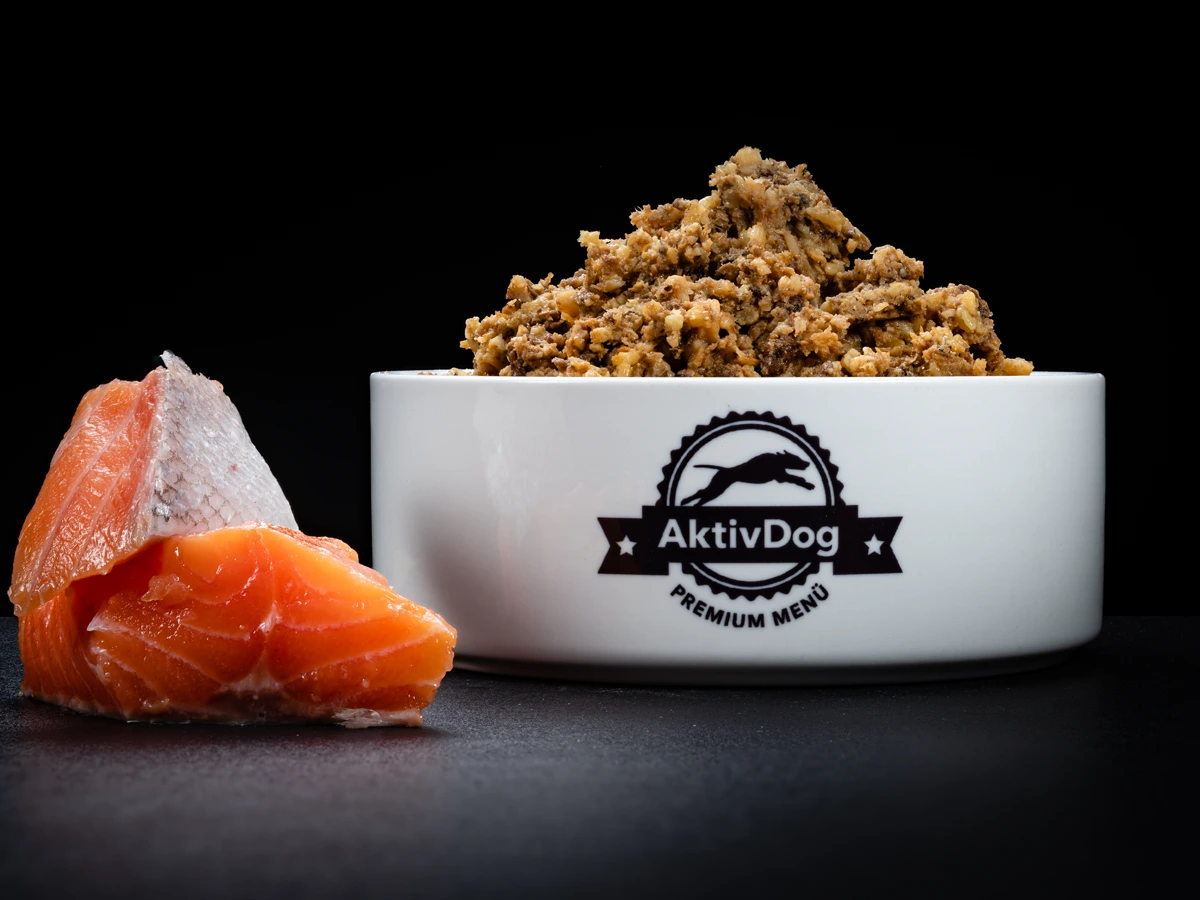 Großaufnahme von AktivDog Hundefutter Lachs mit links daneben liegendem rohen Schweizer Lachs aus nachhaltiger Produktion